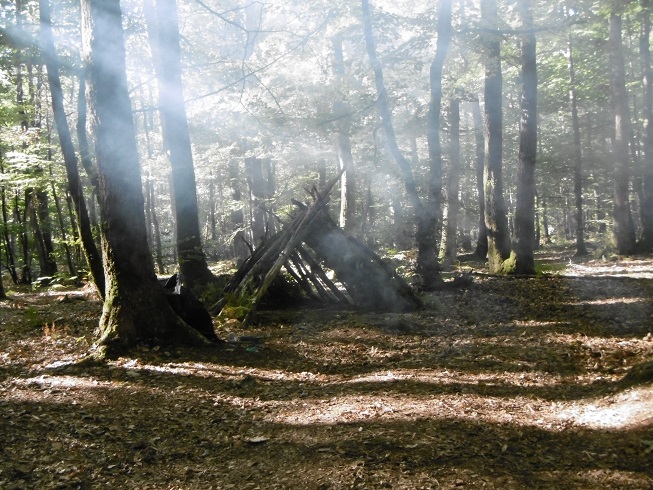 Un abri en forêt créé par Jérôme Carmignac