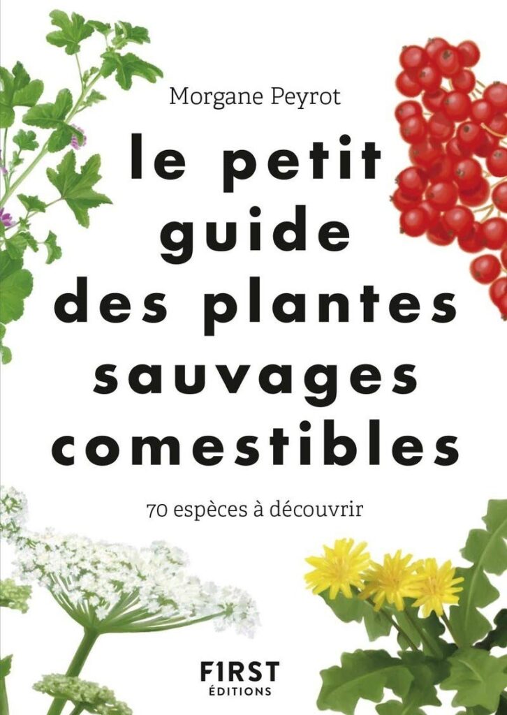 2. "Le Petit guide des plantes sauvages comestibles - 70 espèces à découvrir" de Morgane Peyrot