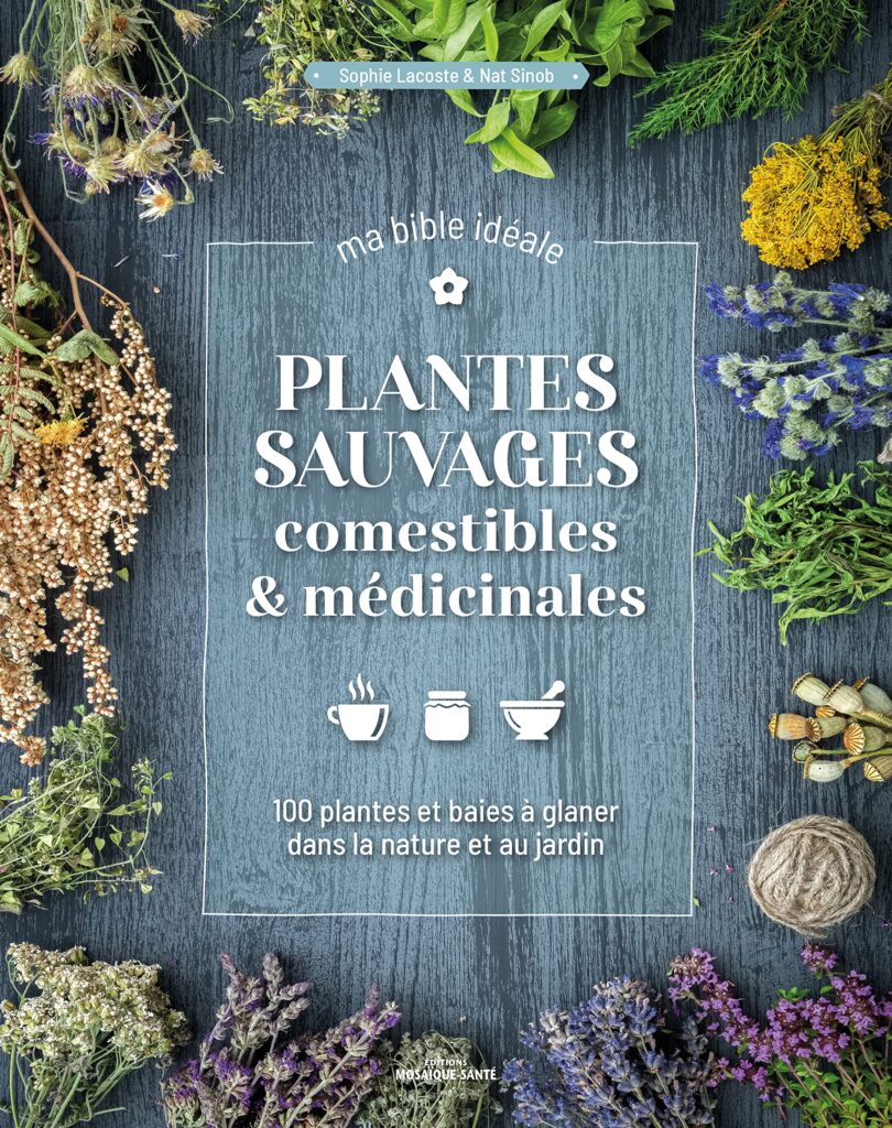"Plantes sauvages comestibles & médicinales, ma bible idéale" de Sophie Lacoste et Nat Sinob : un guide essentiel pour les amoureux de la nature