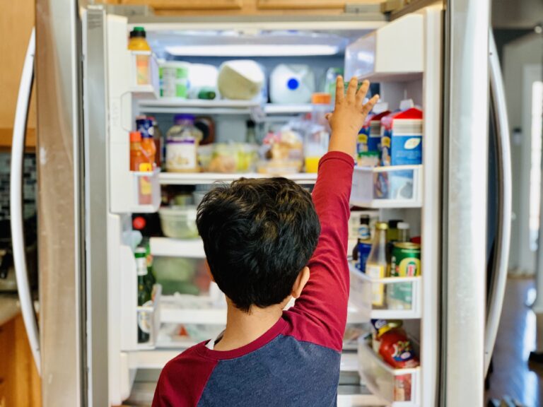 Food stock in refrigerator