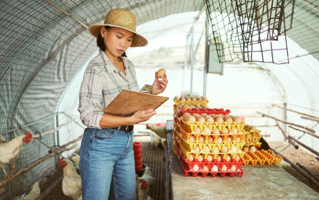 Woman, clipboard or chicken eggs on farm export sales, stock management or import order review. Asi